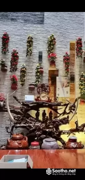 Bán nhà mặt tiền, đường Trần Thị Cở, phường Thới An, quận 12, Thành phố Hồ Chí Minh
