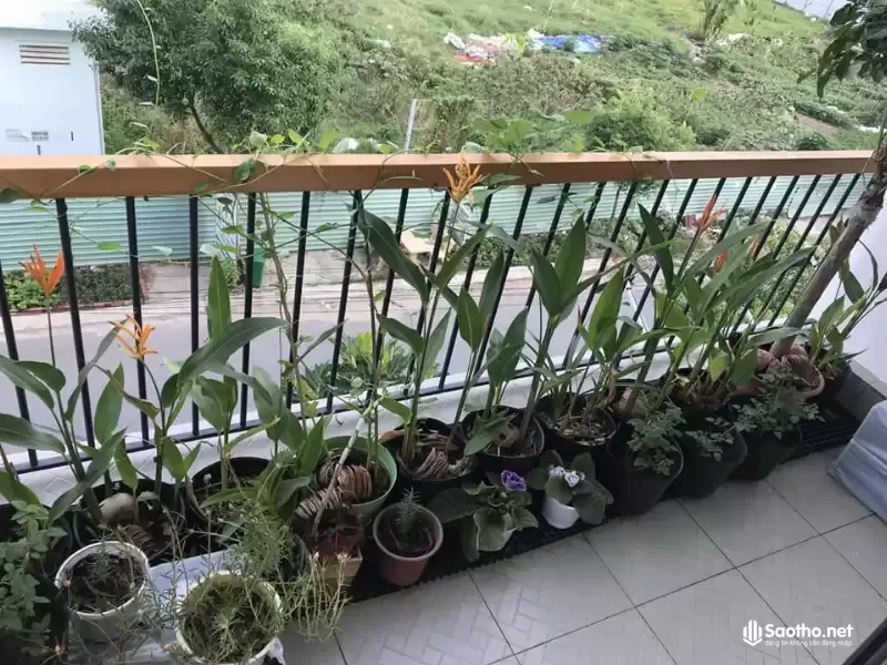 Bán nhà mặt tiền quận 12, đường Nguyễn Thị Búp, phường Hiệp Thành, quận 12, Thành phố Hồ Chí Minh