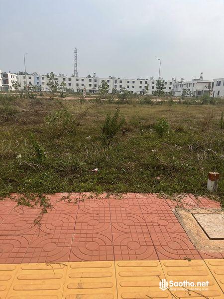 Bán đất thổ cư ở Trảng Bom, Đồng Nai mặt tiền đường nhựa gần khu dân cư Bàu Xéo