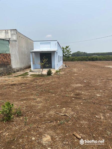 Bán gấp trong tuần Đất sào của ông a, tại Trảng Bom-Đồng Nai tặng luôn căn nhà cấp 4 đã xây sẵn.SỔ RIÊNG