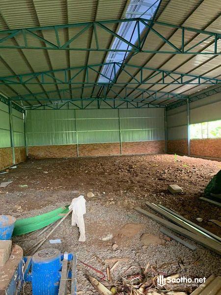Bán nhà xưởng 600m2 trên đất 2356m2 sổ riêng full hồng ở Mặt Tiền Đường Nhựa xã Thanh Bình