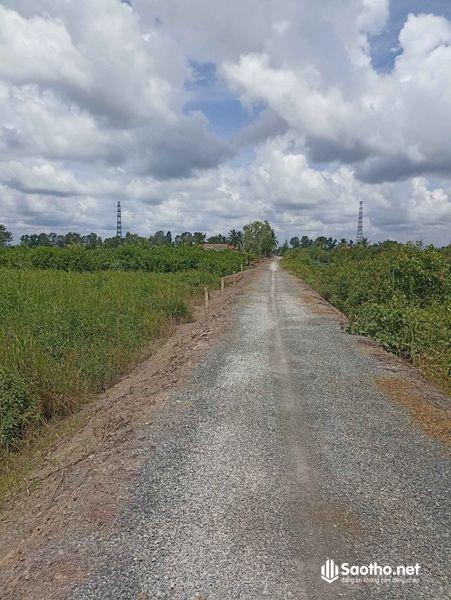  Bán đất hẻm xe hơi Đường Liên Phường, Xã Bình Đức, Huyện Bến Lức, Long An