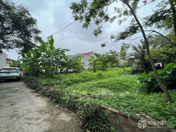 Bán đất thổ cư 171m mặt tiền 17m ở Xã Nhân Mỹ, Huyện Lý Nhân, Hà Nam
