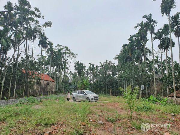 Bán đất gần khu đấu giá Bình Nghĩa, Huyện Bình Lục, Hà Nam