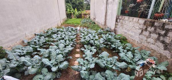 Bán đất thổ cư giá rẻ ở Liêm Chính, Thành phố Phủ Lý, Hà Nam