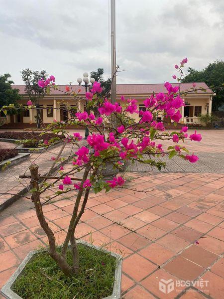 Bán nhanh lô góc khu đấu giá trường Cao Đẳng Truyền Hình, Xã Lam Hạ, Thành phố Phủ Lý, Hà Nam