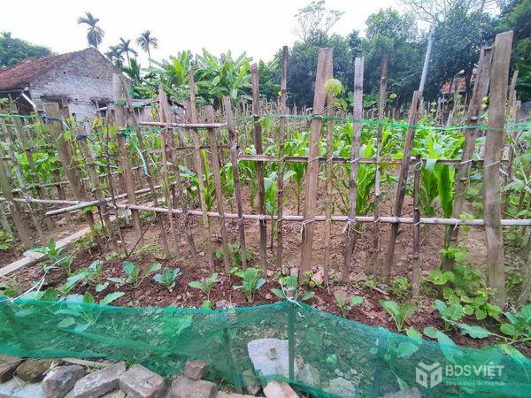Xã Tiên Nội, Huyện Duy Tiên, Hà Nam