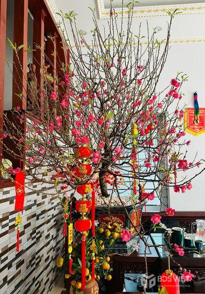 Bán đất thổ cư lô góc mặt đường 27m Nguyễn Lam, Liêm Chính, Thành phố Phủ Lý, Hà Nam