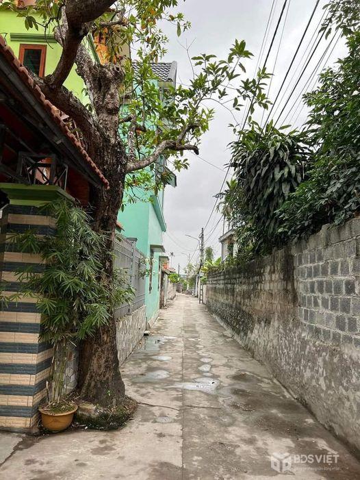 Bán đất thổ cư ở Phú Viên, Phường Lê Hồng Phong, Thành phố Phủ Lý, Hà Nam