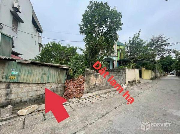 Bán đất đường Ấm, Xã Lam Hạ, Thành phố Phủ Lý, Hà Nam