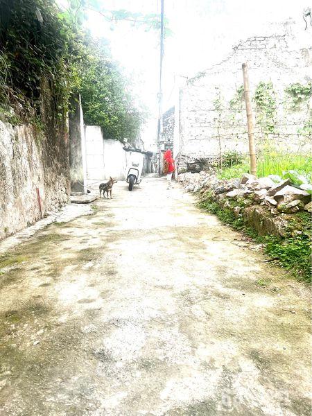 Bán đất tổ 9, Phường Lê Hồng Phong, Thành phố Phủ Lý, Hà Nam