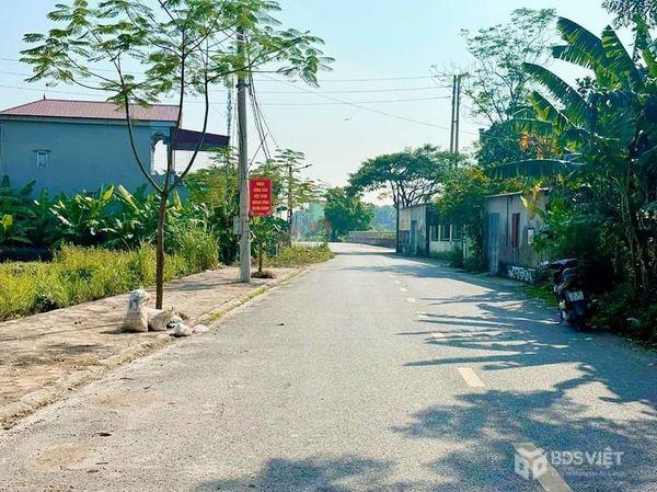 Bán đất đấu giá tại Xã Trịnh Xá, Thành phố Phủ Lý, Hà Nam