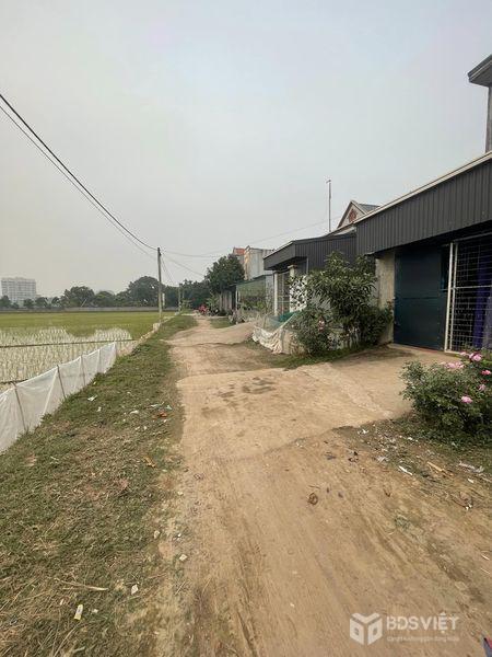 Cần bán gấp lô đất tại Lạt Hà, Thị trấn Hòa Mạc, Huyện Duy Tiên, Hà Nam