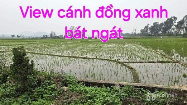 Bán lô đất vuông đẹp tại thị trấn Tân Thanh, Xã Thanh Tân, Huyện Thanh Liêm, Hà Nam