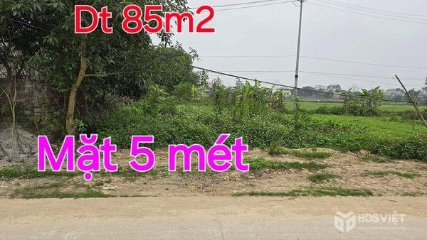 Bán 2 lô đấu giá Đồng Sẩm, Xã Tân Sơn, Huyện Kim Bảng, Hà Nam