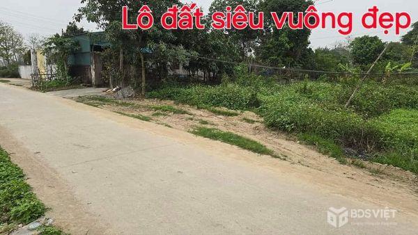 Bán 2 lô đấu giá Đồng Sẩm, Xã Tân Sơn, Huyện Kim Bảng, Hà Nam