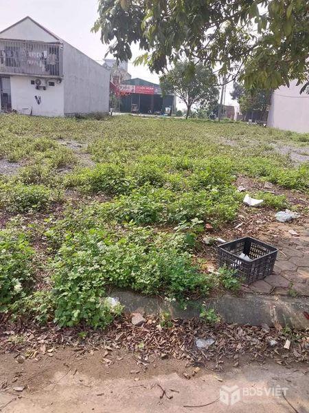 Bán đất tại KĐT Khả Lôi, Xã Tiêu Động, Huyện Bình Lục, Hà Nam
