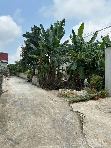 Bán đất tại Hòa Lạc, Xã Lam Hạ, Thành phố Phủ Lý, Hà Nam