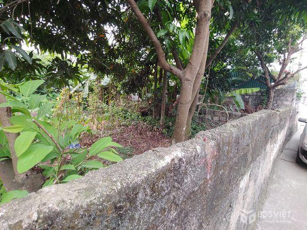 Bán đất tại Thanh Sơn, Huyện Kim Bảng, Hà Nam