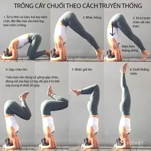 2 Phần mềm đăng tin tiết kiệm thời gian, tăng hiệu suất làm việc và cải thiện khả năng tiếp cận
