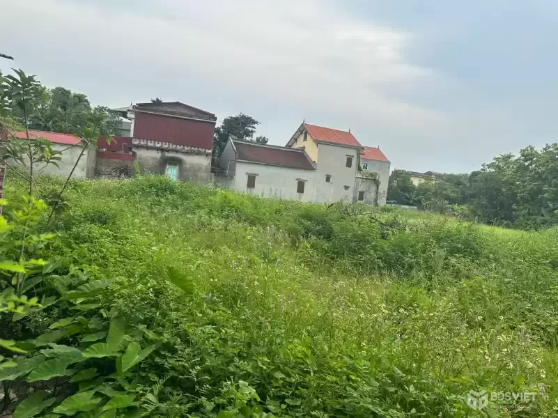 Đất quốc lộ 17 xã An Bình, huyện Thuận Thành, Bắc Ninh, đường ô tô tránh, 1422m2, miễn TG