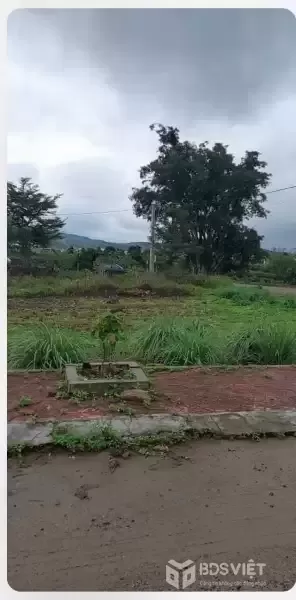 BÁN ĐẤT GẦN ĐƯỜNG THỐNG NHẤT , GẦN KHU CÔNG NGHIỆP PHÚ HỘI -ĐỨC TRỌNG - LÂM ĐỒNG