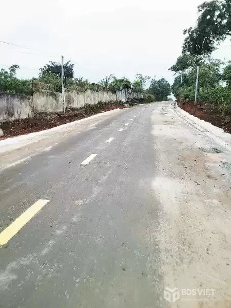 ĐẤT NÔNG NGHIỆP 1.7 HA, EA KAO - BUÔN MA THUỘT  - GIÁ HẤP DẪN 450 TRIỆU/SÀO