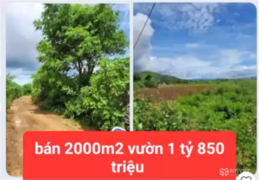 HẠ GIÁ TỪ 2.6 TỶ XUỐNG BÁN 1 tỷ 850 triệu - 2 sào đất vườn tổ 32 liên nghĩa-đức trọng -lâm đồng