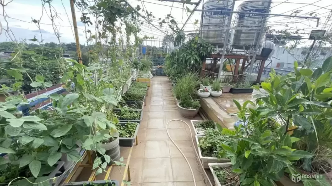 Bán nhà lô góc 2 mặt tiền đường lớn Linh Trung, Thủ Đức – 111m² – Giá 20.5 tỷ