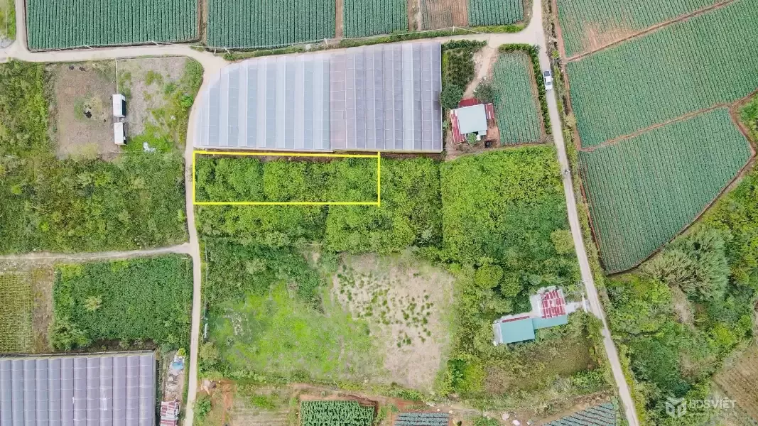 Đà Lạt còn sót lại 1 lô sổ riêng gần 700m2 - đường bê tông lớn - giá đầu 2 chấm