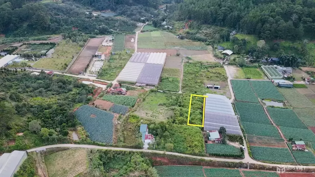 Đà Lạt còn sót lại 1 lô sổ riêng gần 700m2 - đường bê tông lớn - giá đầu 2 chấm