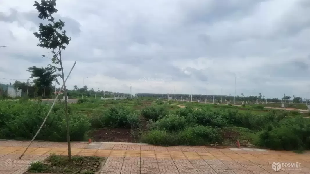 Cần bán gấp 3 lô đất tái định cư Ngãi Giao Gần trường học, chợ full thổ cư 1,3 tỷ TL mạnh