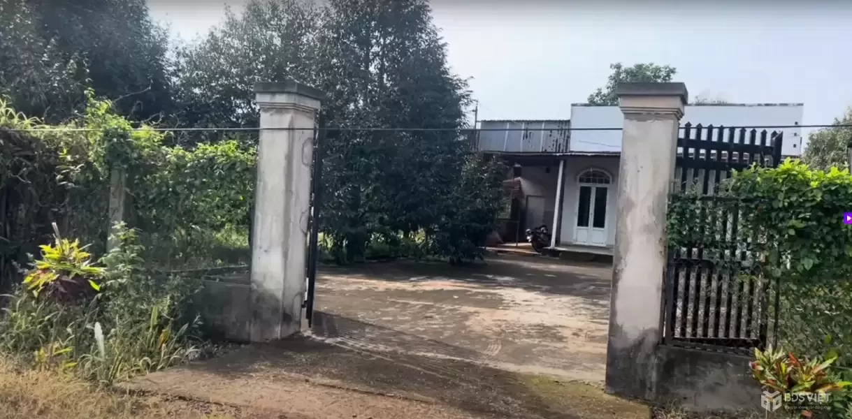 Bán 9400 m2  đất vườn sầu riêng đang thu – Có nhà ở, đường nhựa, xã Bàu Trinh Châu Đức– giá chỉ 5 tỷ