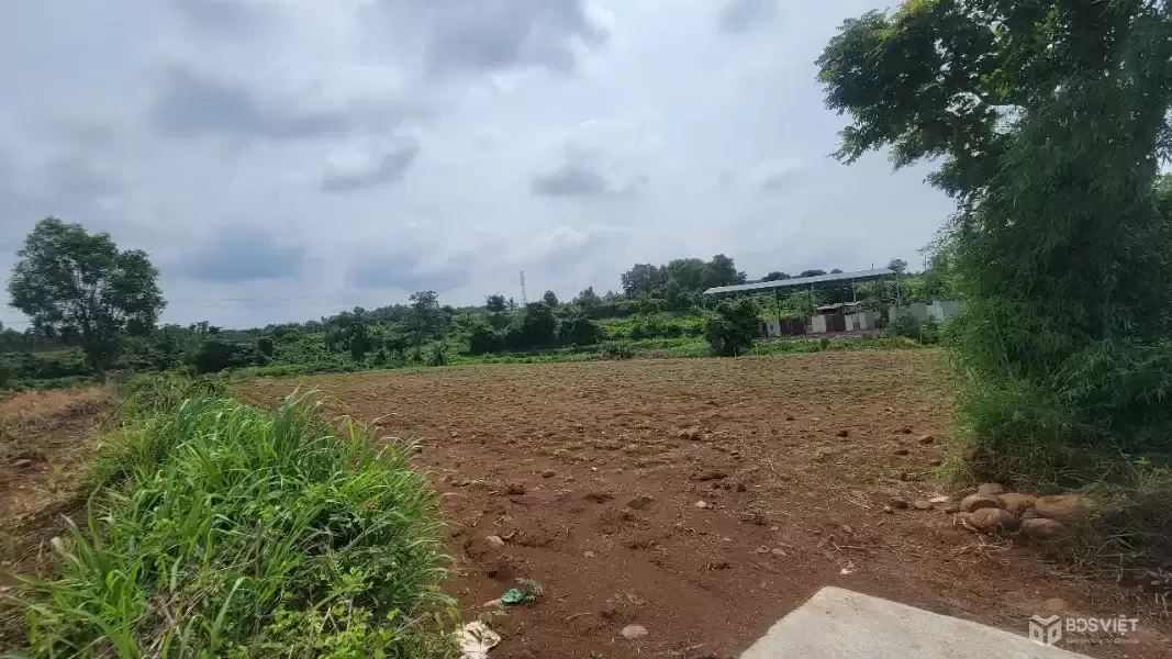 Cần bán 2 lô đất liền kề, có đất ở, view suối, xã Đá Bạc – Châu Đức – Giá chỉ 2,1 tỷ cho gần 5000m²