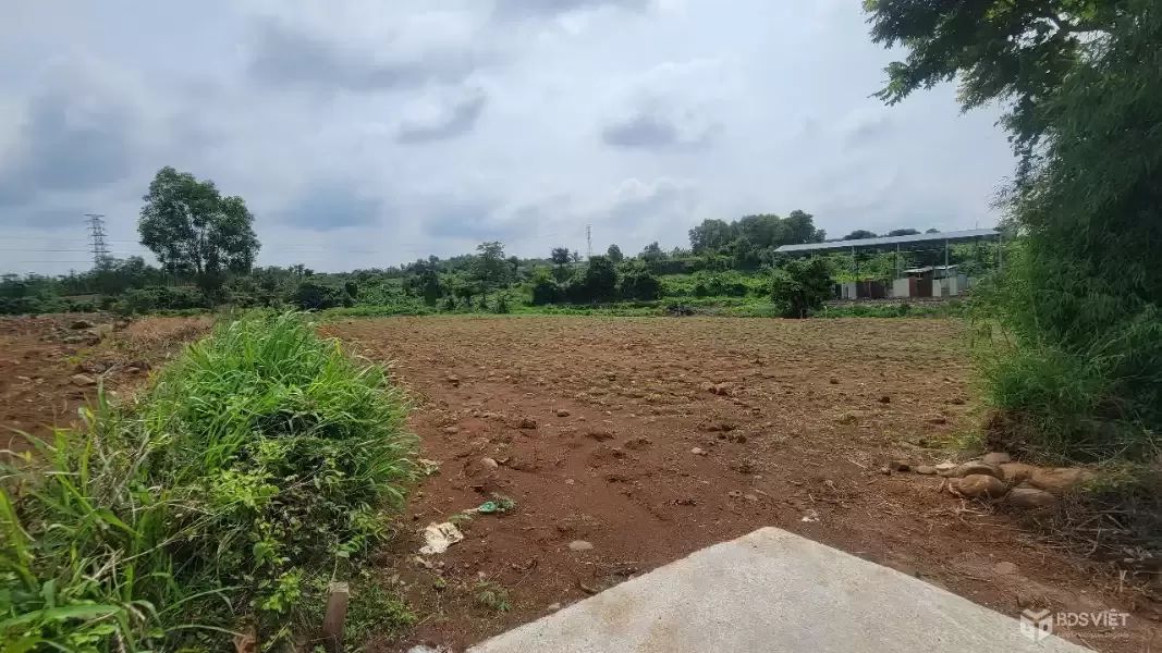 Cần bán 2 lô đất liền kề, có đất ở, view suối, xã Đá Bạc – Châu Đức – Giá chỉ 2,1 tỷ cho gần 5000m²