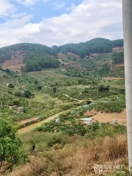 CẦN BÁN 6525M ĐẤT SỔ RIÊNG TÀ NUNG ĐÀ LẠT - giá chỉ 6 tỷ