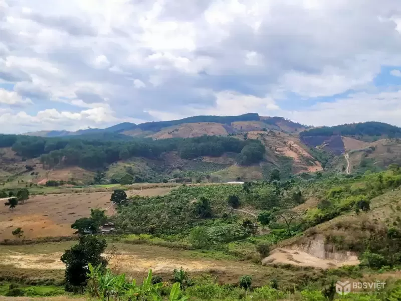 CẦN BÁN 6525M ĐẤT SỔ RIÊNG TÀ NUNG ĐÀ LẠT - giá chỉ 6 tỷ
