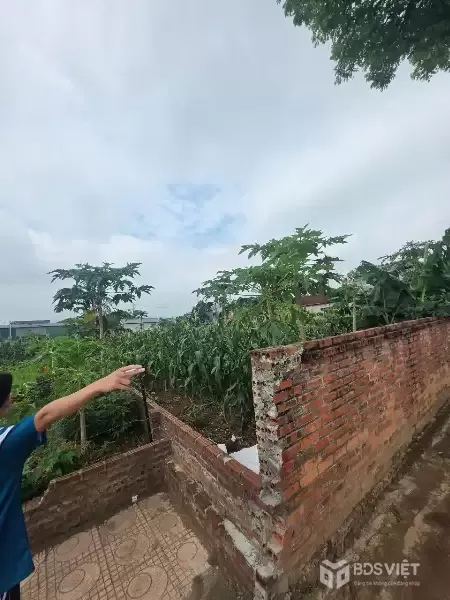 Bán đất Phú Cát, Quốc Oai 107m² – Gần Nhà máy in tiền – Giá chỉ từ 4x triệu/m²!
