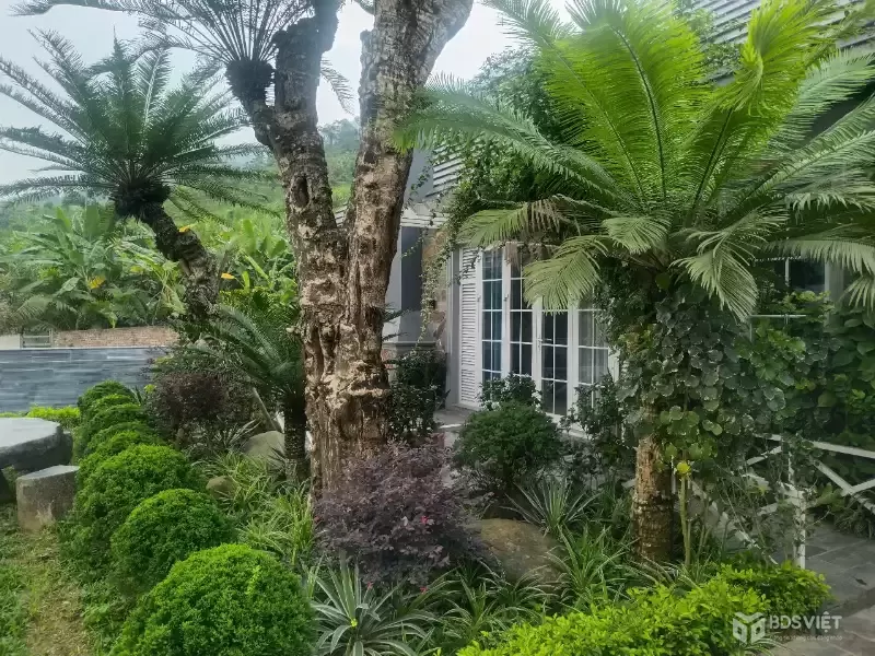 Bán biệt thự nhà vườn nghỉ dưỡng tại Phú Mãn, view suối đẹp - 516m2 - giá chỉ 8.5 tỷ