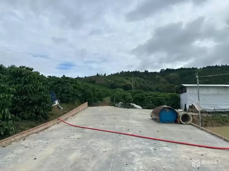 Bán 21000m2 ( 21 sào ) đất nhà , ao, vườn cà phê -Xã Liên Hiệp - Đức Trọng Lâm Đồng