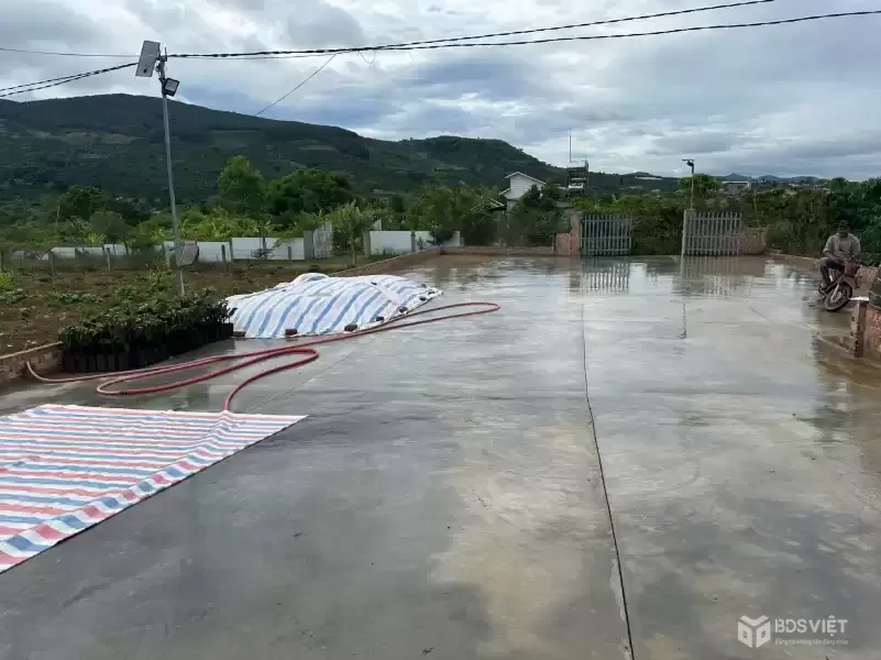 Bán 21000m2 ( 21 sào ) đất nhà , ao, vườn cà phê -Xã Liên Hiệp - Đức Trọng Lâm Đồng