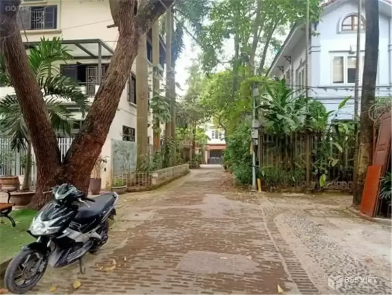 BIỆT THỰ LÔ GÓC – TRONG LÀNG KIẾN TRÚC PHONG CẢNH – VÕNG THỊ – TÂY HỒ