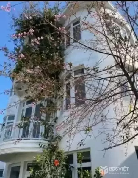 CHO THUÊ VILLA SÂN VƯỜN - CÔ GIANG PHƯỜNG 9 ĐÀ LẠT
