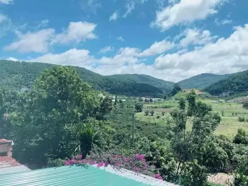 BÁN ĐẤT CAM LY ĐÀ LẠT - 8010M2, 338M2 THỔ CƯ, QUY HOẠCH FULL THỔ, GẦN CÁC ĐIỂM DU LỊCH