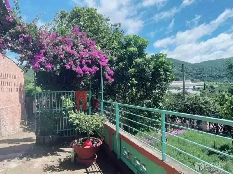 BÁN ĐẤT CAM LY ĐÀ LẠT - 8010M2, 338M2 THỔ CƯ, QUY HOẠCH FULL THỔ, GẦN CÁC ĐIỂM DU LỊCH