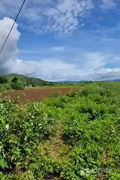 BÁN LÔ ĐẤT ĐẸP – VỊ TRÍ TRUNG TÂM ĐỨC TRỌNG – GIÁ ĐẦU TƯ