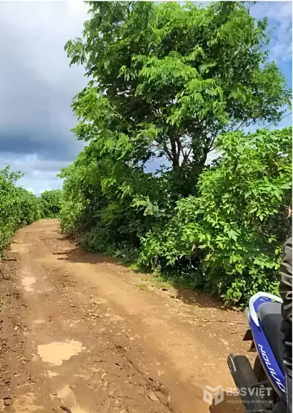 BÁN LÔ ĐẤT ĐẸP – VỊ TRÍ TRUNG TÂM ĐỨC TRỌNG – GIÁ ĐẦU TƯ