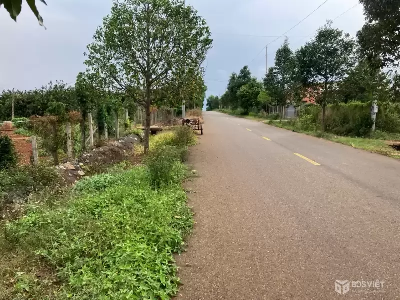 2,285m2 với 20m  mặt Đường Trung tâm xã Bàu Chinh (ĐH 25) , sẳn thổ cư, giá đầu tư