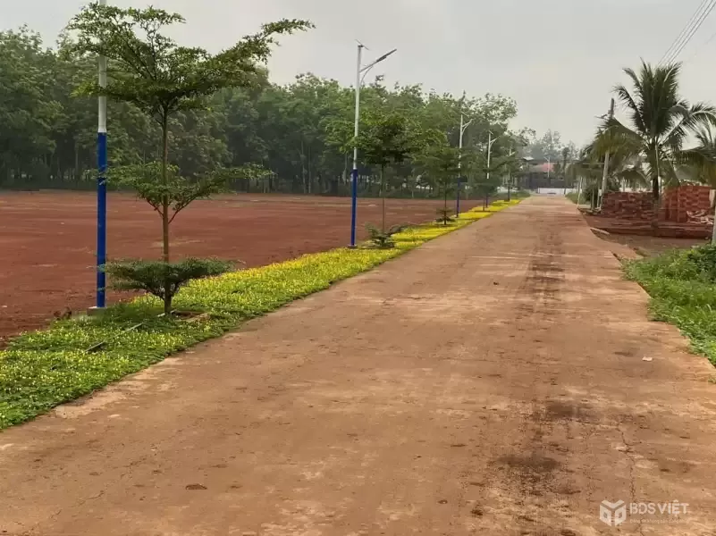 BÁN ĐẤT ĐỒNG NAI GIÁ RẼ