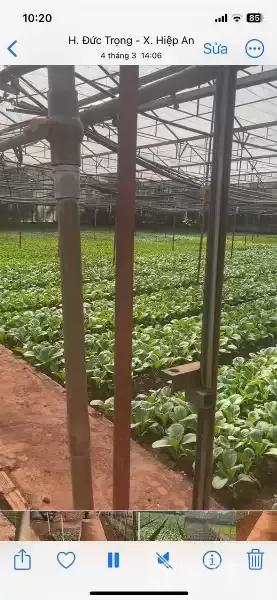 HẠ GIÁ KỊCH SÀN - BÁN GẦN 5000M2 HIỆP AN - GIẢM 5 TỶ